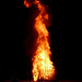 Joy Burns Photo 23