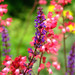 Linda Spires Photo 11