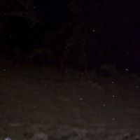 Patricia Binning Photo 10