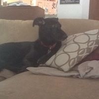 Debra Burdick Photo 16
