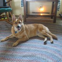 Colleen Williamson Photo 35