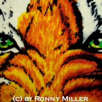 Ronny Miller Photo 4