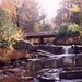 Edward Knowlton Photo 13