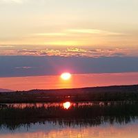 Chris Templin Photo 17