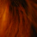Emily Good Photo 13