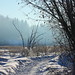 Rod Reid Photo 7