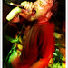 David Tran Photo 24