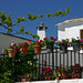Martin Terrazas Photo 12