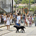 Teresa Vieira Photo 33