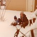 Jason Snow Photo 15