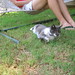Monica Peterson Photo 16