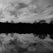 Diane Lake Photo 24
