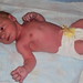 Joshua Whiteman Photo 15