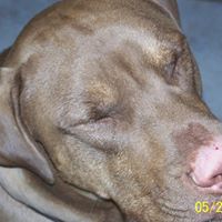 Marcia Alexander Photo 29