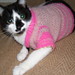 Sherry Howard Photo 38