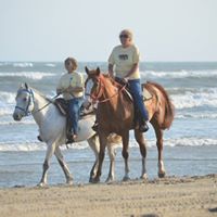 Deborah Cronin Photo 25