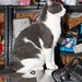 Oscar May Photo 16