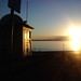 Dawn Phillips Photo 9