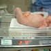 Troy Nicholas Photo 12