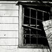 Lynn Lane Photo 40
