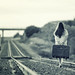 David Solano Photo 21