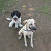 Dora Brown Photo 20