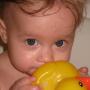 Shannon Cline Photo 20