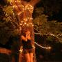 Heather Taylor Photo 39
