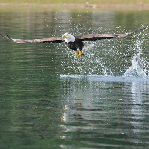 Gary Schultz Photo 26
