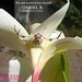 B Daniel Photo 19