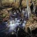 Dam Fall Photo 10