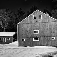 Stephen Pope Photo 38
