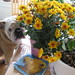 Paula Humphrey Photo 7