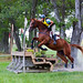 Karen Connor Photo 31