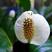 Vickie Meyer Photo 26