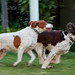 Archie Stanley Photo 10