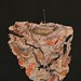 Teresa Glover Photo 14