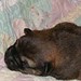 Jeanne Nelson Photo 33