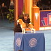 Aaron Stack Photo 17
