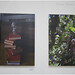 Patricia Toscano Photo 27
