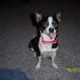 Randall Newman Photo 5