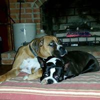 Lois Larson Photo 11