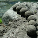Amy Morrison Photo 16