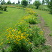 Susan Clement Photo 37