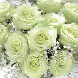 Thi Hoang Photo 8