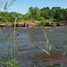 Bruce Wylie Photo 12