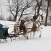 Paul Cutter Photo 12