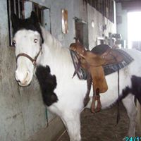 Teri Ford Photo 29