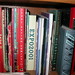 Julie Lutes Photo 11