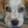 Debbie Brower Photo 21